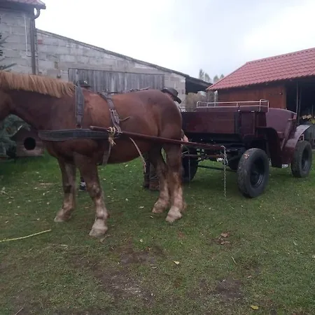 Lesna Wyspa Kaliska