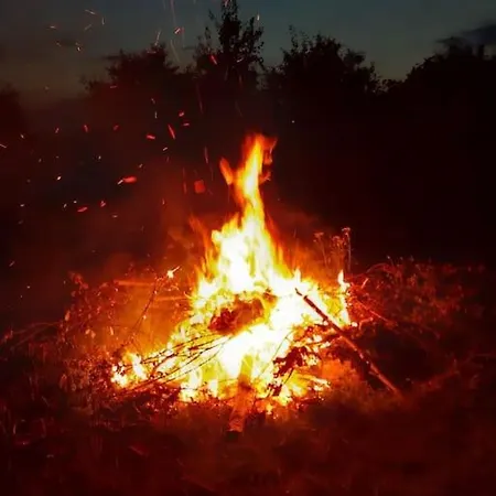 Lesna Wyspa Apartamento *