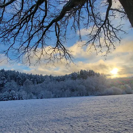 Lesna Wyspa Apartamento Kaliska