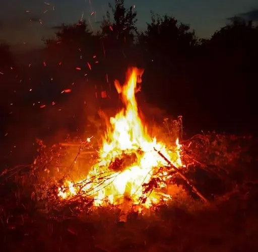 Lesna Wyspa Apartment *