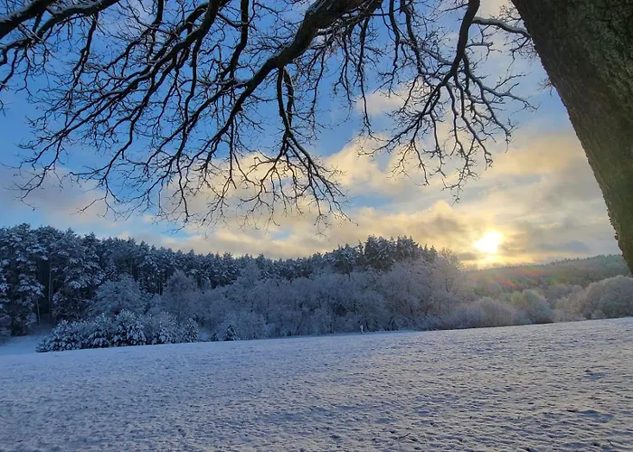 Lesna Wyspa Apartment Kaliska